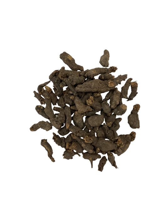 Semiaquilegia Root Tuber (Radix Semiaquilegiae) - 天葵子 (Tian Kui Zi)