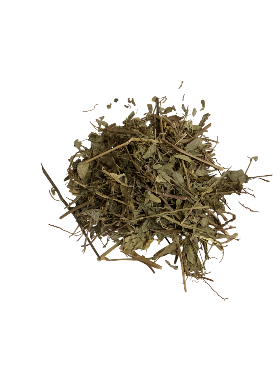 Common Leafflower Herb (Herba Phyllanthi Urinariae) - 珍珠草 (zhēn zhū cǎo)