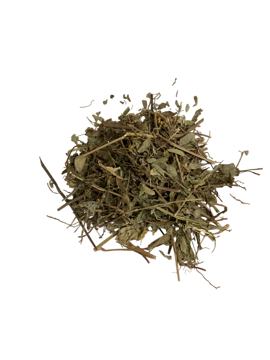 Common Leafflower Herb (Herba Phyllanthi Urinariae) - 珍珠草 (zhēn zhū cǎo)