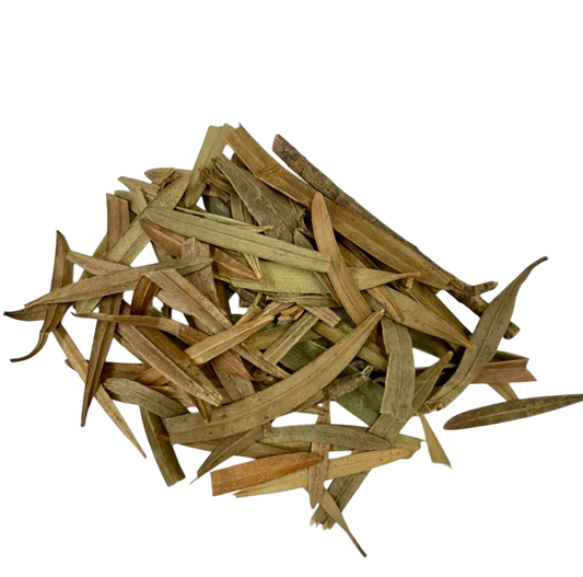 Da Ce Bai Ye - 江南大侧柏叶 16oz