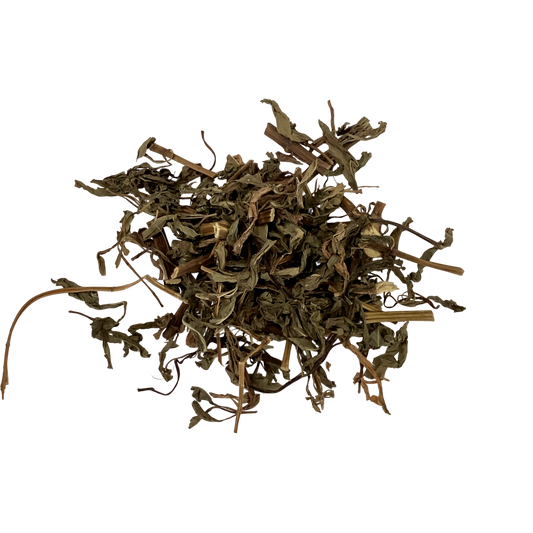 Eupatorium (Herba Eupatorii) - 佩兰 (pèi lán)