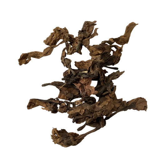 Plumeria Rubra L.CV. Acutifolia - 鸡蛋花 (jī dàn huā)