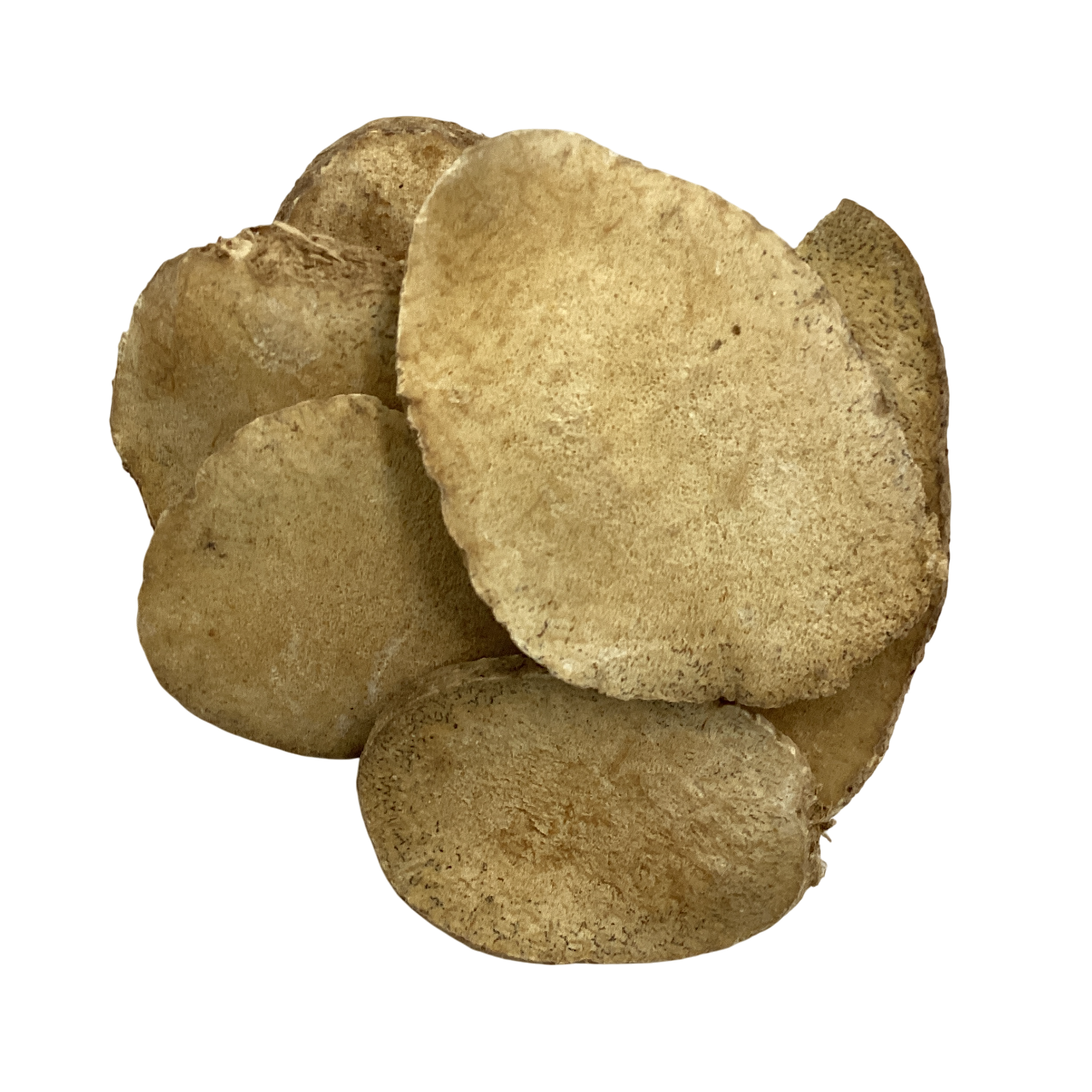 Alisma Rhizome (Rhizoma Alismatis) - 泽泻片 (zé xiè piàn)