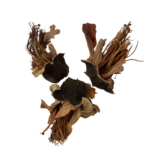 Cotton (Flos Gossampini) - 木棉花 (mù mián huā)