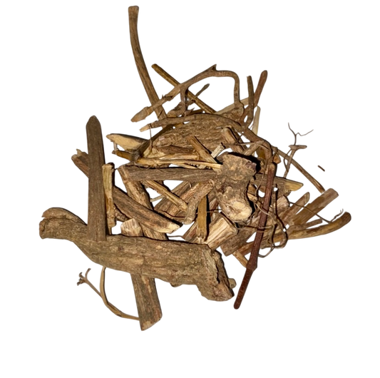 Japanese Sabia Stem (Caulis Sabriae Japonicae) - 清风藤 (qīng fēng téng)