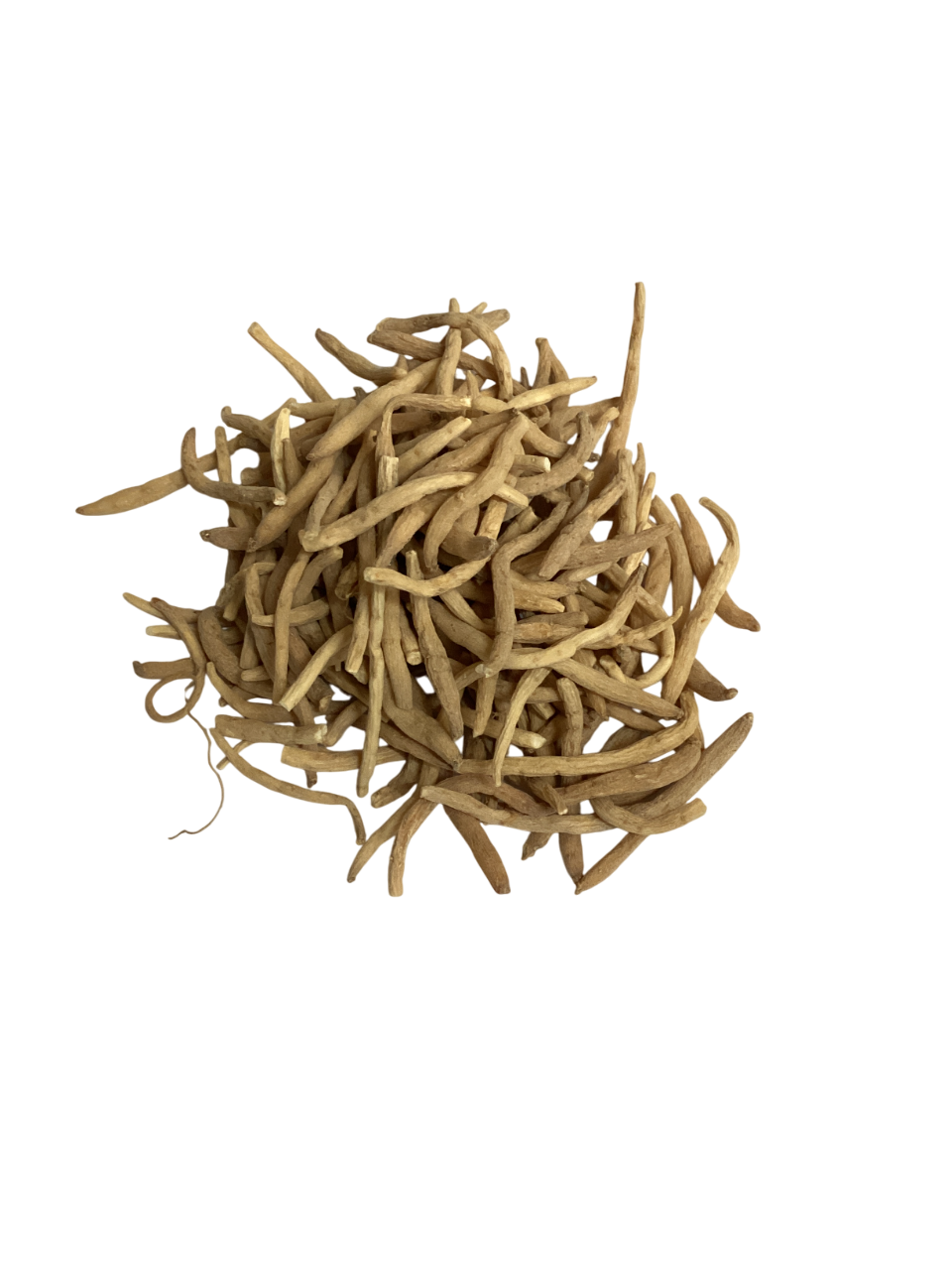Pseudostellaria Root (Radix Pseudostellariae) - 太子参 (tài zǐ shēn)