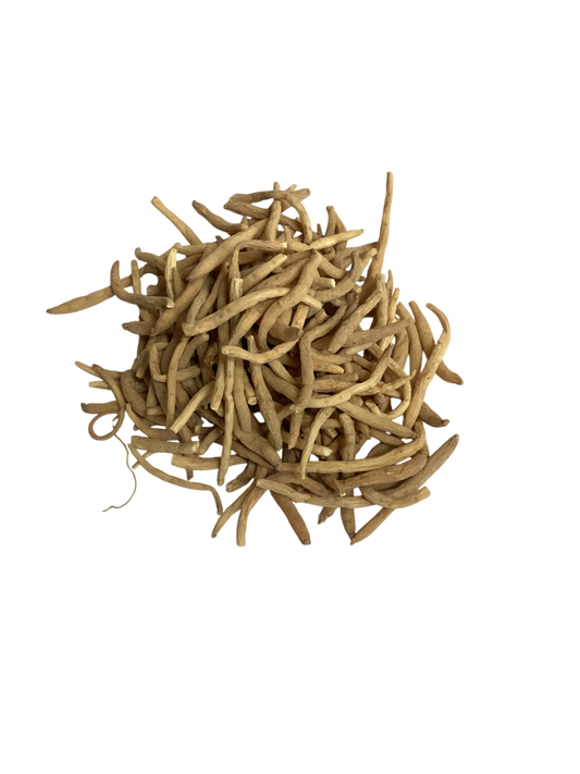 Pseudostellaria Root (Radix Pseudostellariae) - 太子参 (tài zǐ shēn)