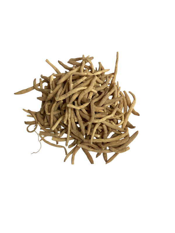 Pseudostellaria Root (Radix Pseudostellariae) - 太子参 (tài zǐ shēn)