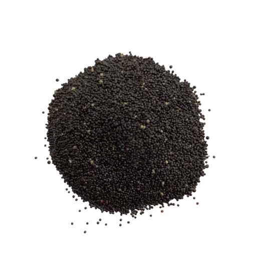 Celosia Seed (Semen Celosiae) - 青葙子 (Qing Xiang Zi)