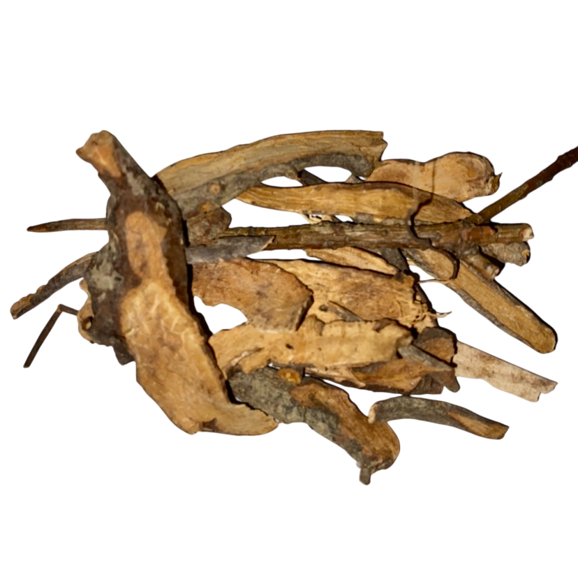 Sanguisorba Root (Radix Sanguisorbae) - 地榆片 (dì yú piàn)