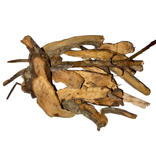 Sanguisorba Root (Radix Sanguisorbae) - 地榆片 (dì yú piàn)
