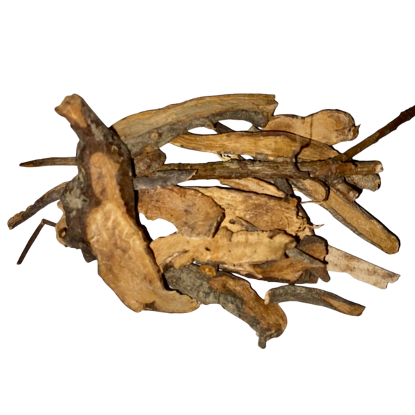 Sanguisorba Root (Radix Sanguisorbae) - 地榆片 (dì yú piàn)