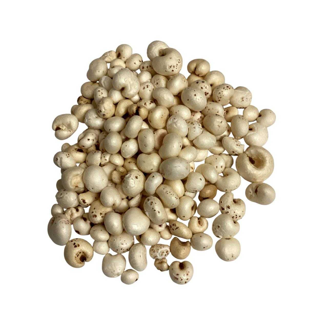 Coix Seed (Semen Coicis) - 生薏米 (shēng yì mǐ)