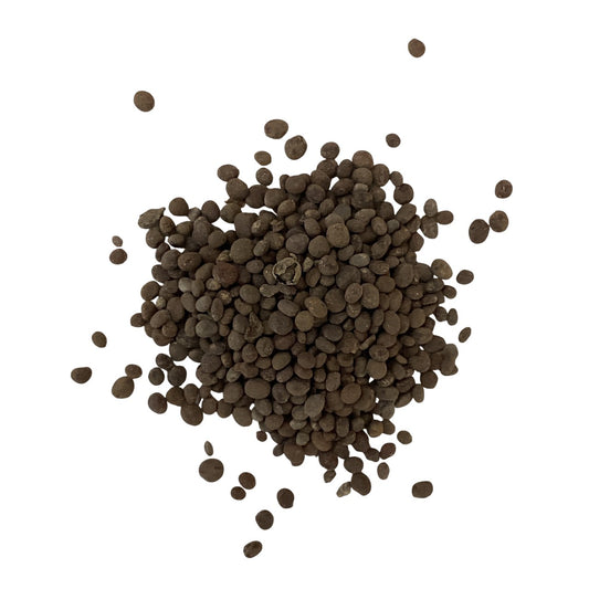 Garden Balsam Seed (Semen Impatientis) - 急性子 (Ji Xing Zi)