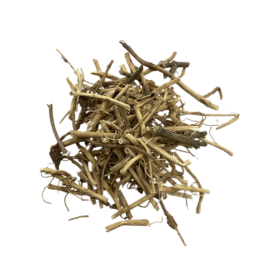 Cynanchum Root and Rhizome (Rhizoma Cynanchi Stauntonii) - 白前 (Bai Qian)