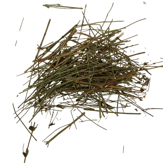 Herba Hyperici Japonici - 田基黄 (tián jī huáng)