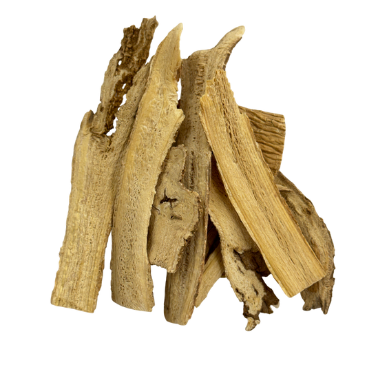 Stellaria Root (Radix Stellariae) - 银柴胡 (yín chái hú)