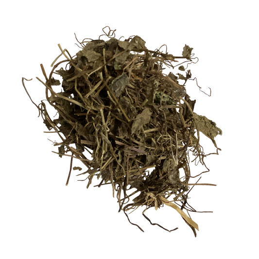 Garden Balsam Stem (Caulis Impatientis) - 透骨草 (tou gu cao)