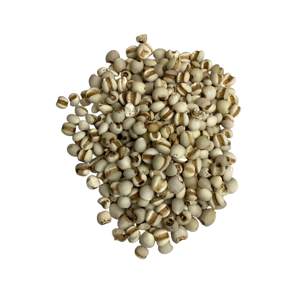 Coix Seed (Semen Coicis) - 生薏米 (shēng yì mǐ)