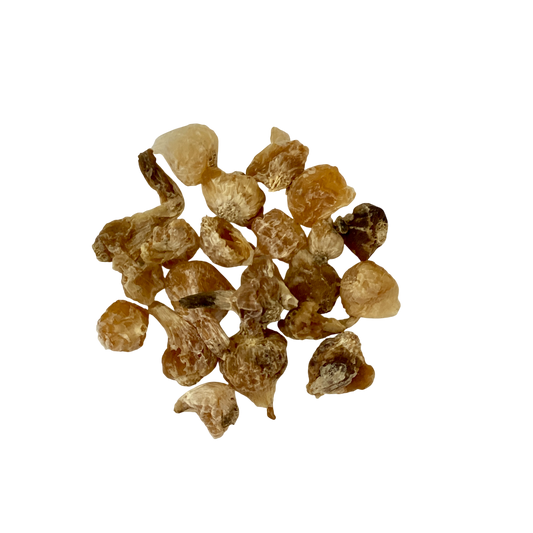 Macrostem Onion (Bulbus Allii Macrostemi) - 薤白(Xie Bai)