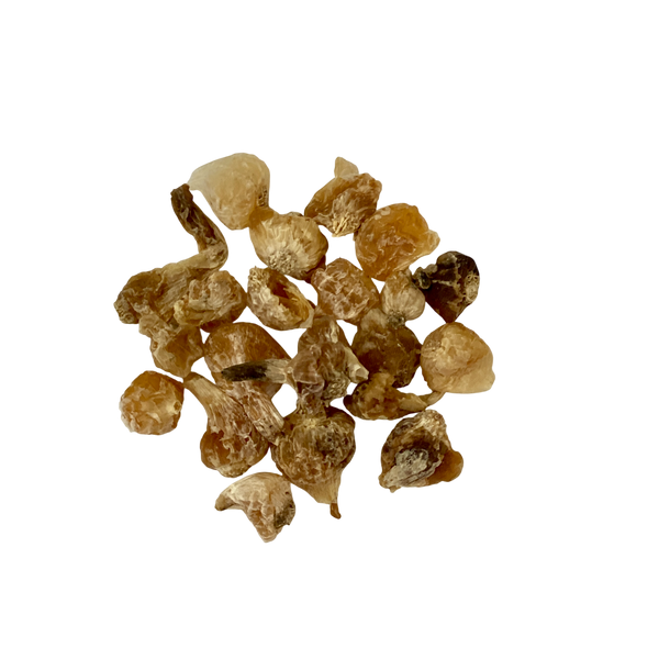 Macrostem Onion (Bulbus Allii Macrostemi) - 薤白(Xie Bai)
