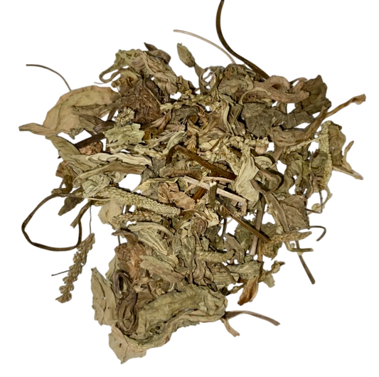 Plantago Herb (Herba Plantaginis) - 车前草 (chē qián cǎo)