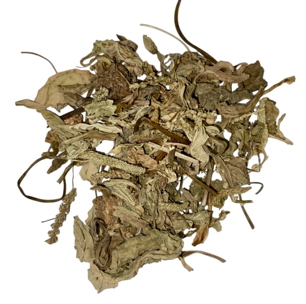 Plantago Herb (Herba Plantaginis) - 车前草 (chē qián cǎo)