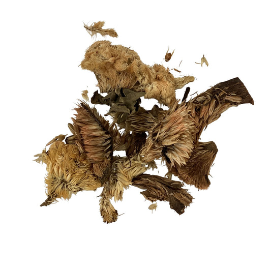 Coxcomb Flower (Flos Celosiae Cristatae) - 鸡冠花 (jī guān huā)