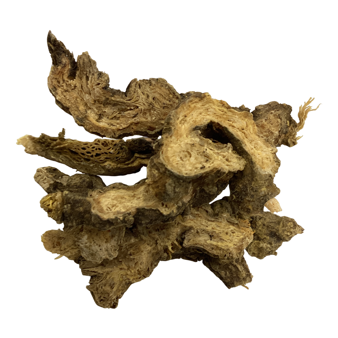 Atractylodis Rhizome (Rhizoma Atractylodis) - 苍术 (cāngzhú)