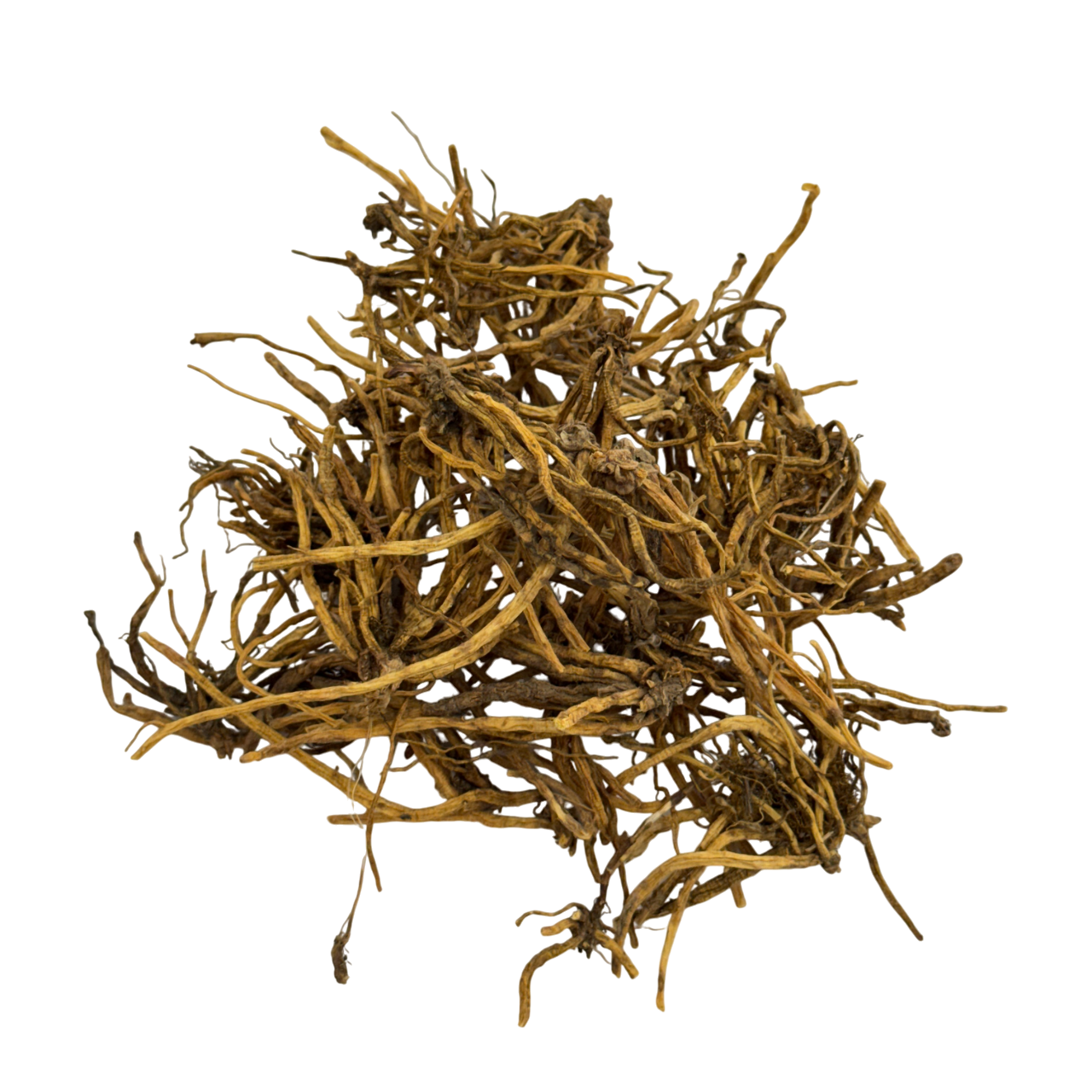 Chinese Gentian Root (Radix Gentianae) - 龙胆草 (lóng dǎn cǎo)