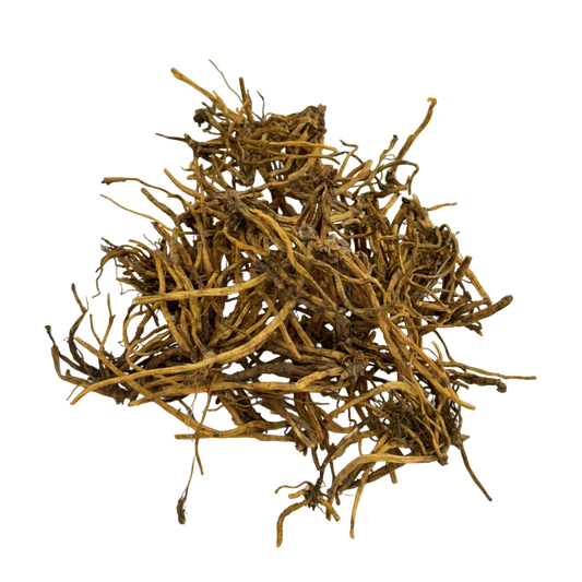 Chinese Gentian Root (Radix Gentianae) - 龙胆草 (lóng dǎn cǎo)