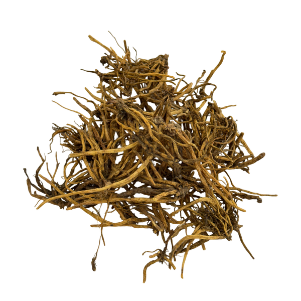 Chinese Gentian Root (Radix Gentianae) - 龙胆草 (lóng dǎn cǎo)