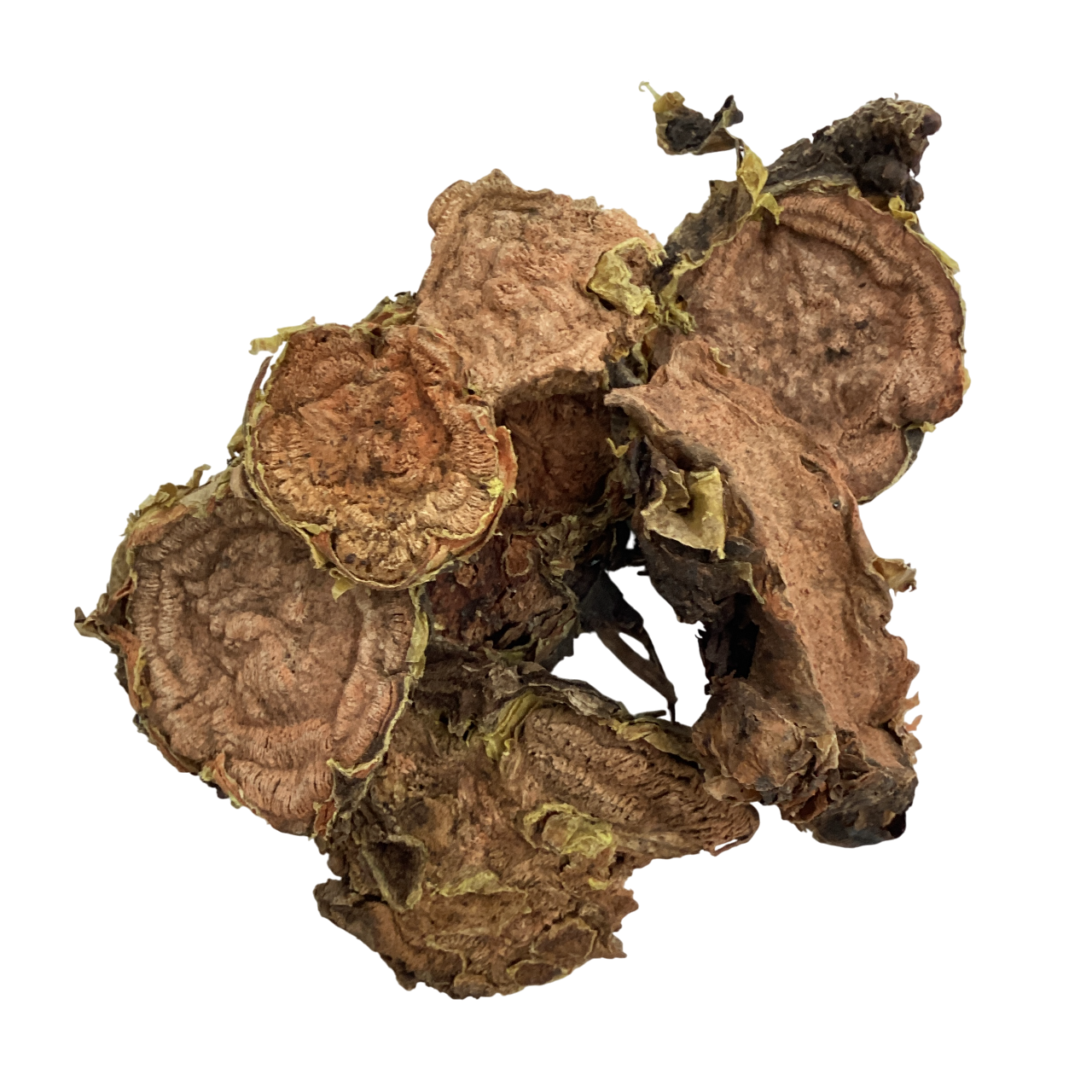 Rhodiola Root (Radix Rhodiola) - 红景天 (hóng jǐng tiān)