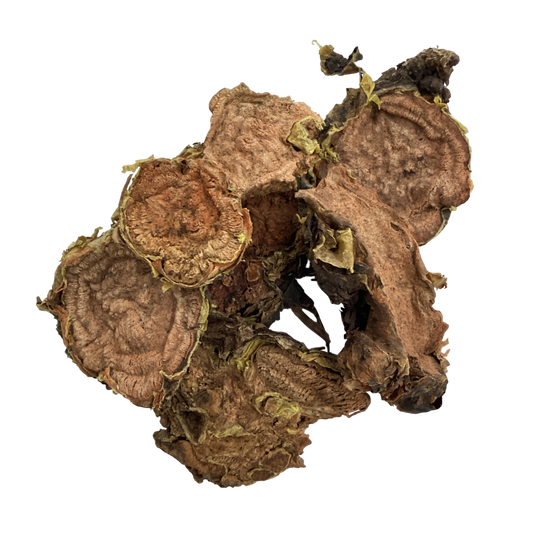 Rhodiola Root (Radix Rhodiola) - 红景天 (hóng jǐng tiān)