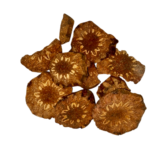 Dryopteris Root (Rhizoma Dryopteris) - 贯众片 (guàn zhòng piàn)