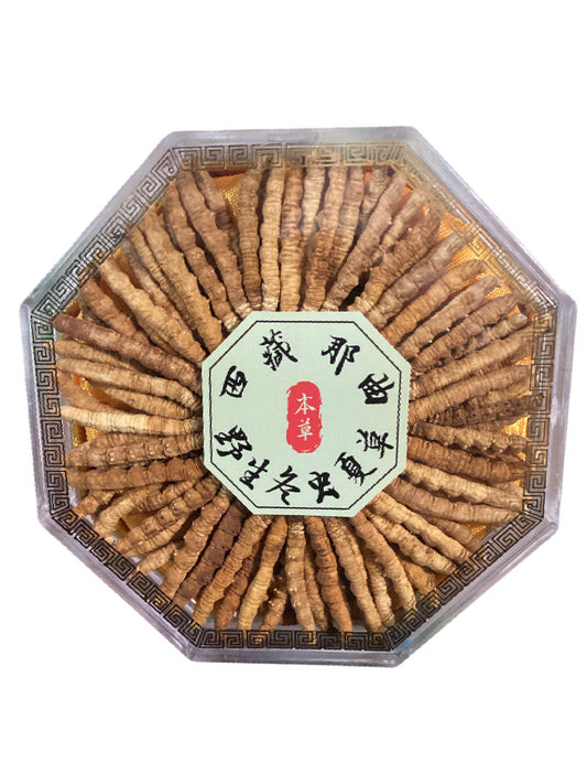 Wild Cordyceps sinensis from Nagqu, Tibet (30g)