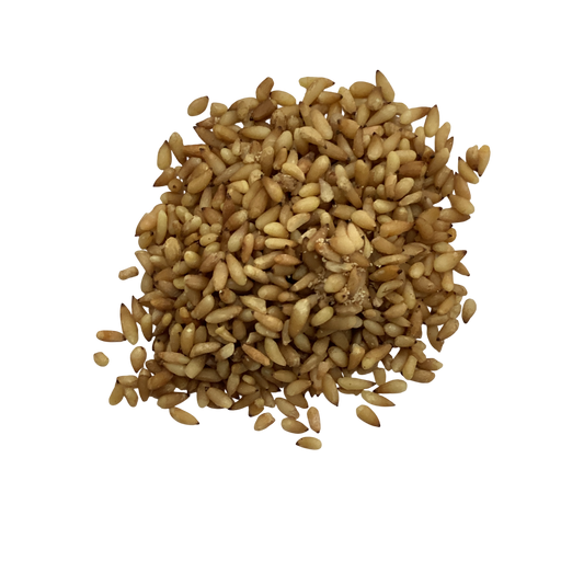 Semen Platycladi （Bai Zi Ren） - 柏子仁 16oz