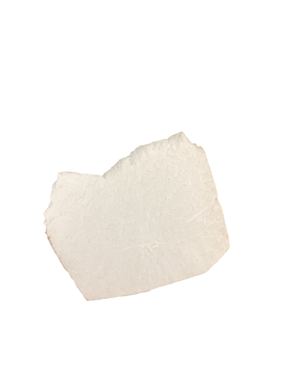 Tuckahoe (Poria Cocos) - 茯苓 (Fu Ling)