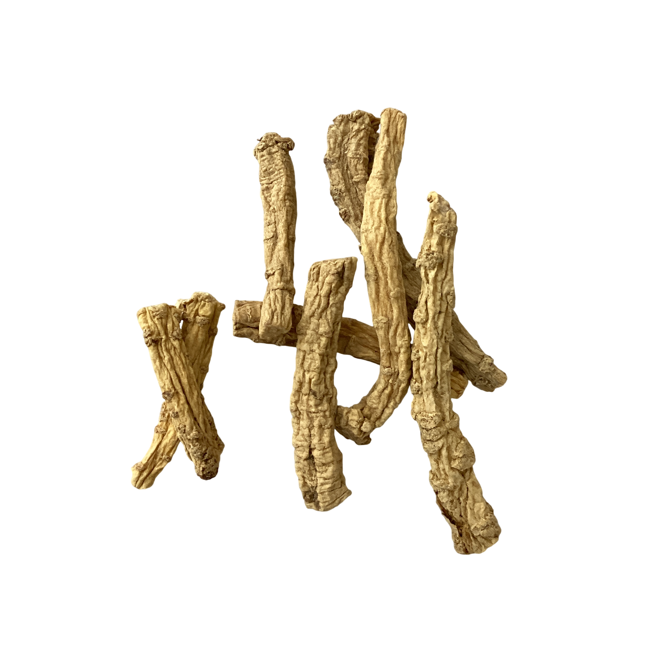 Codonopsis Root (Radix Codonopsis) - 党参 (dǎng shēn)