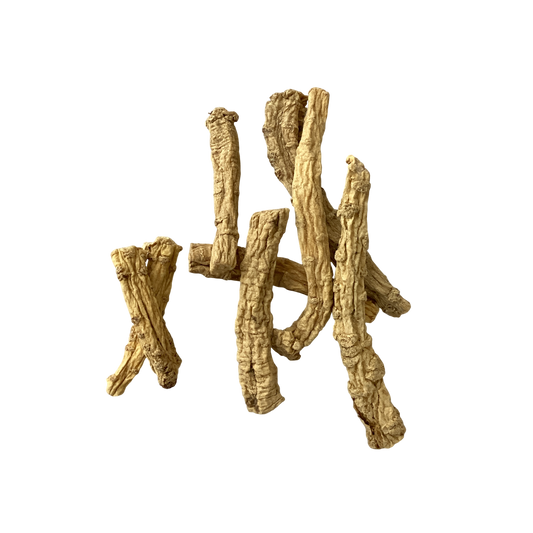 Codonopsis Root (Radix Codonopsis) - 党参 (dǎng shēn)