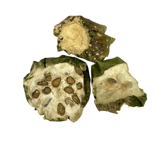 Trichosanthes Fruit (Fructus Trichosanthis) - 瓜蒌 (Gua Lou)