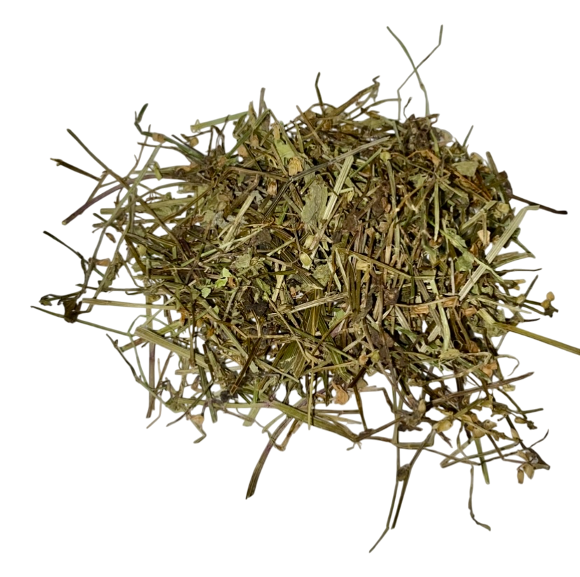 Barbed Skullcap (Herba Scutellaria Barbata) - 半枝莲 (bàn zhī lián)