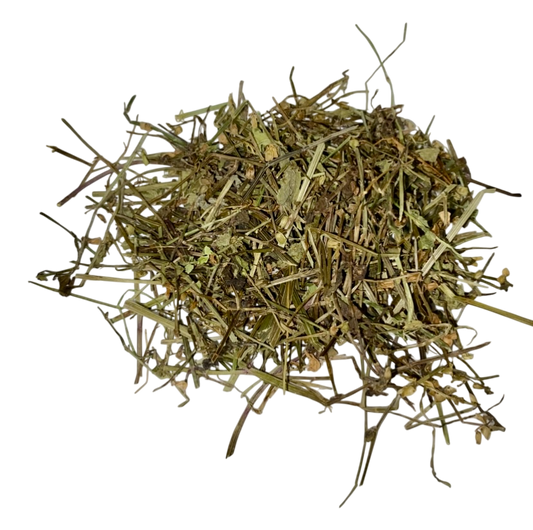 Barbed Skullcap (Herba Scutellaria Barbata) - 半枝莲 (bàn zhī lián)