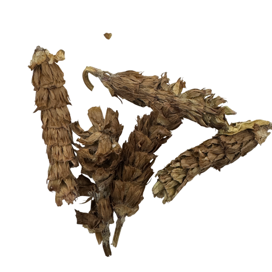 Prunella (Spica Prunellae) - 夏枯草 (xià kū cǎo)