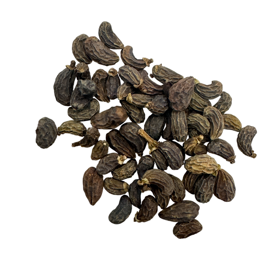 Glossy Privet Fruit (Fructus Ligustrum Lucidum) - 女贞子 (nǚ zhēn zi)