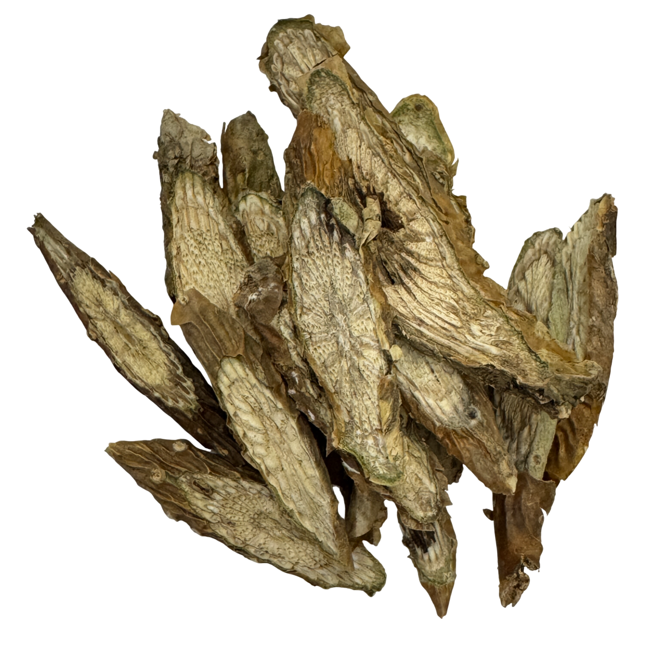 Chinese Tinospora Stem (Caulis Cissi) - 宽筋藤 (kuān jīn téng)