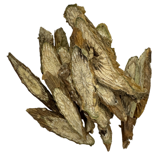 Chinese Tinospora Stem (Caulis Cissi) - 宽筋藤 (kuān jīn téng)