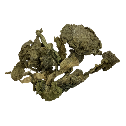Kelp (Thallas Ecklonia Kurome) - 昆布 (kūnbù)