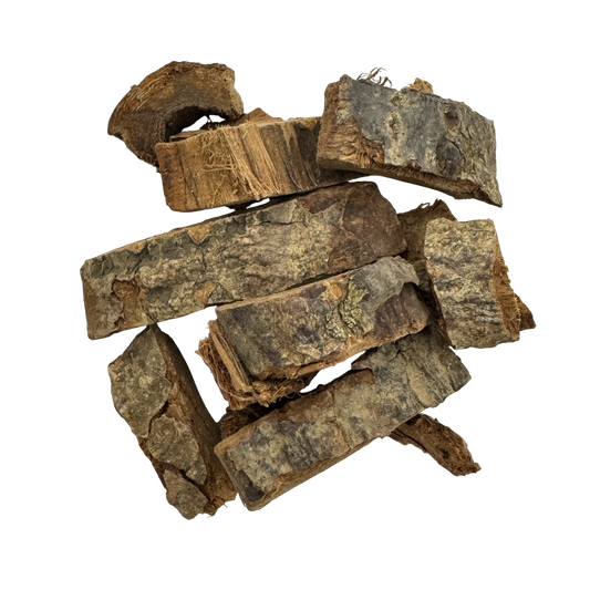 Himalayan Coral Bean Bark (Cortex Erythrinae) - 海桐皮 (hǎi tóng pí)