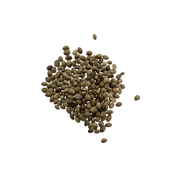 Roasted Hemp Seeds (Roasted Fructus Cannabis) - 炒火麻仁 (chǎo huǒ má rén)